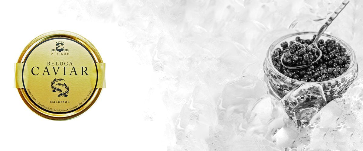 Attilus Beluga Caviar